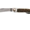 Robert Klaas Classic Line 100mm, Real Stag 383-451 Couteau & Décapsuleur -Magasin De Couteaux RS383 451 01 robert klaas rs383 451 01