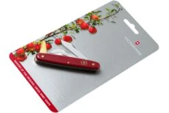 Victorinox Couteau Greffoir & Serpette 3 3.9116.B1 Rouge -Magasin De Couteaux VT3 9116 B1 08 victorinox